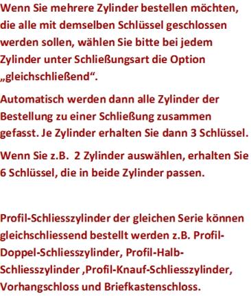 BKS Livius Profil-Doppel-Schließzylinder